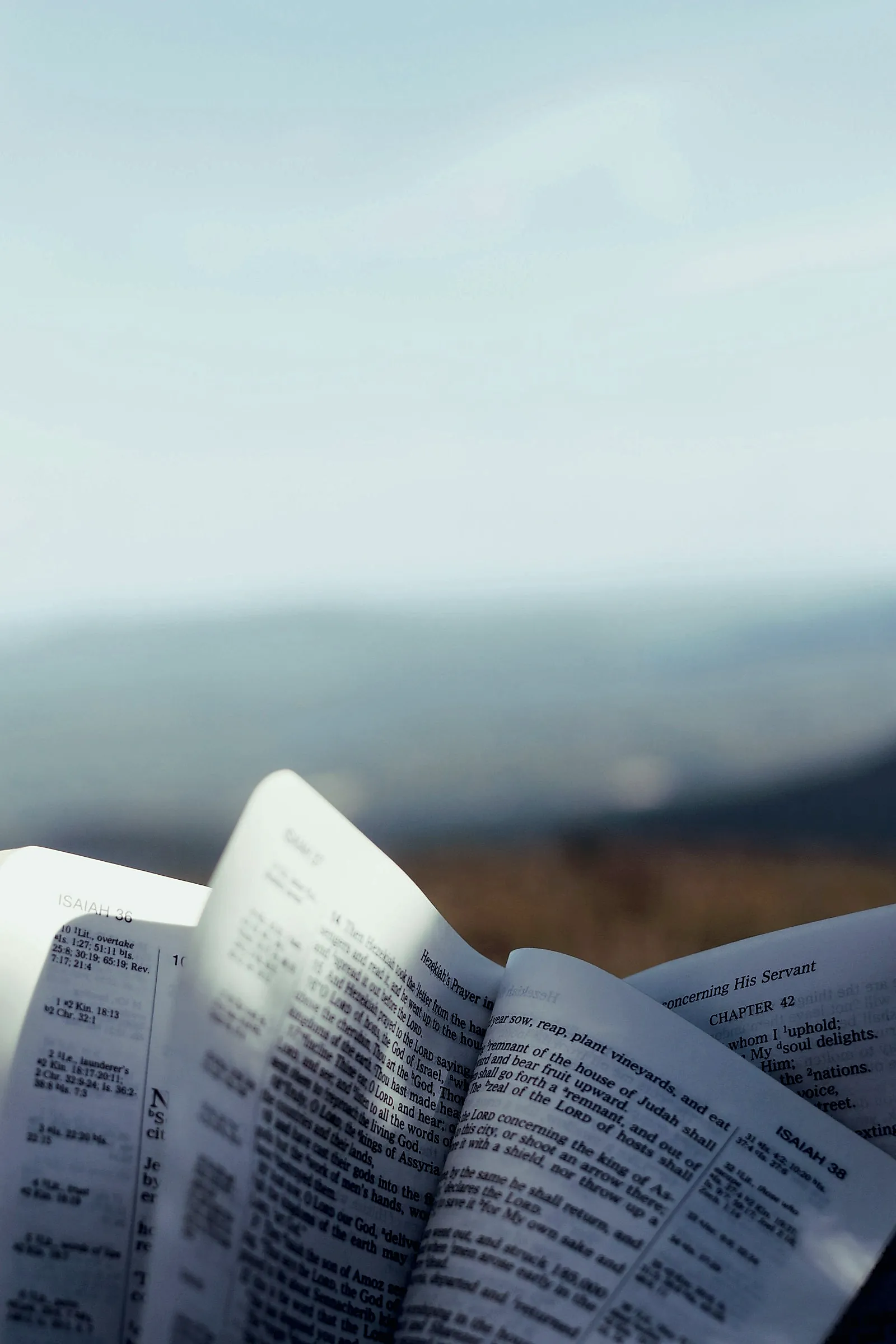 Una Biblia abierta frente al horizonte